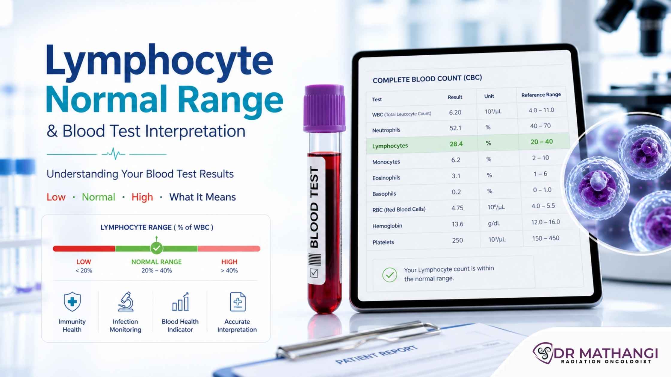 Lymphocyte Normal Range & Blood Test Interpretation