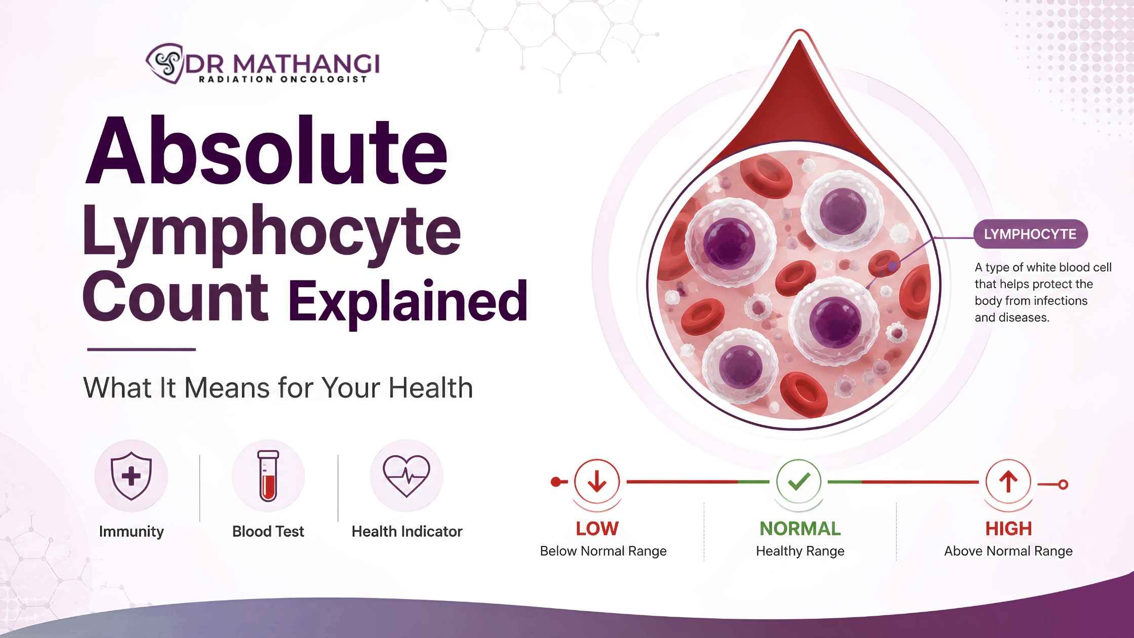 Absolute Lymphocyte Count Explained