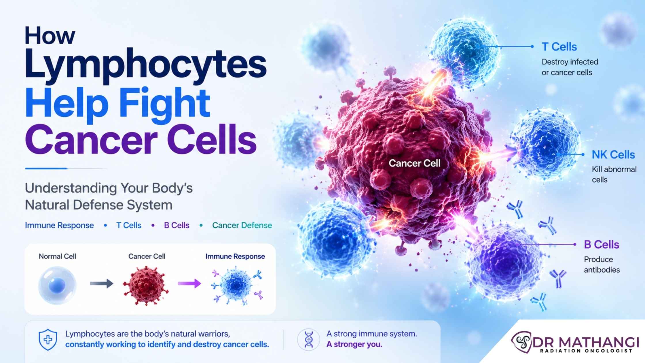 How Lymphocytes Help Fight Cancer Cells
