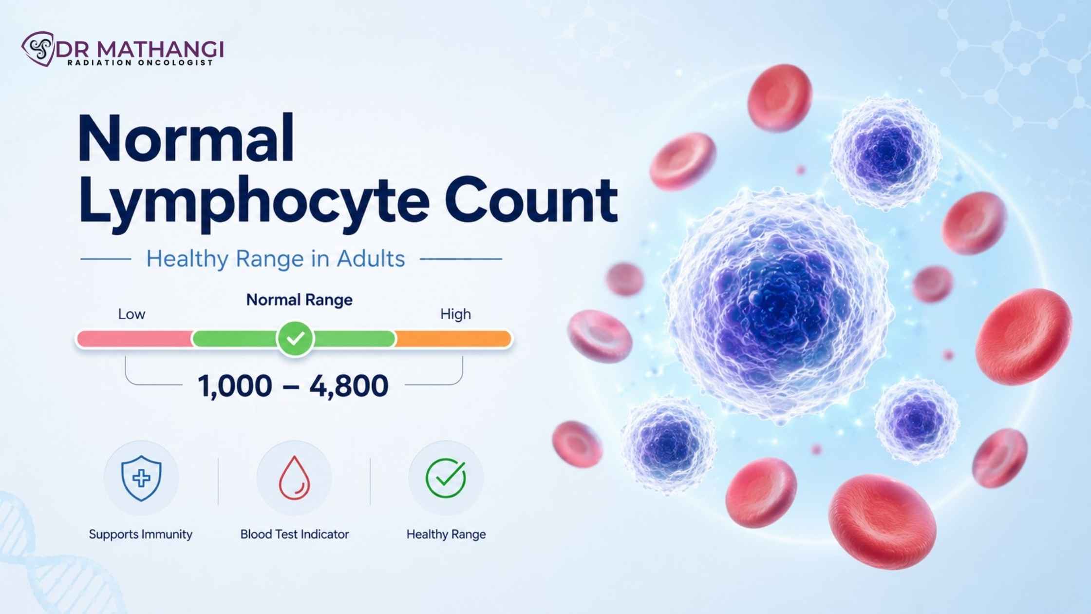 Normal Lymphocyte Count in Adults