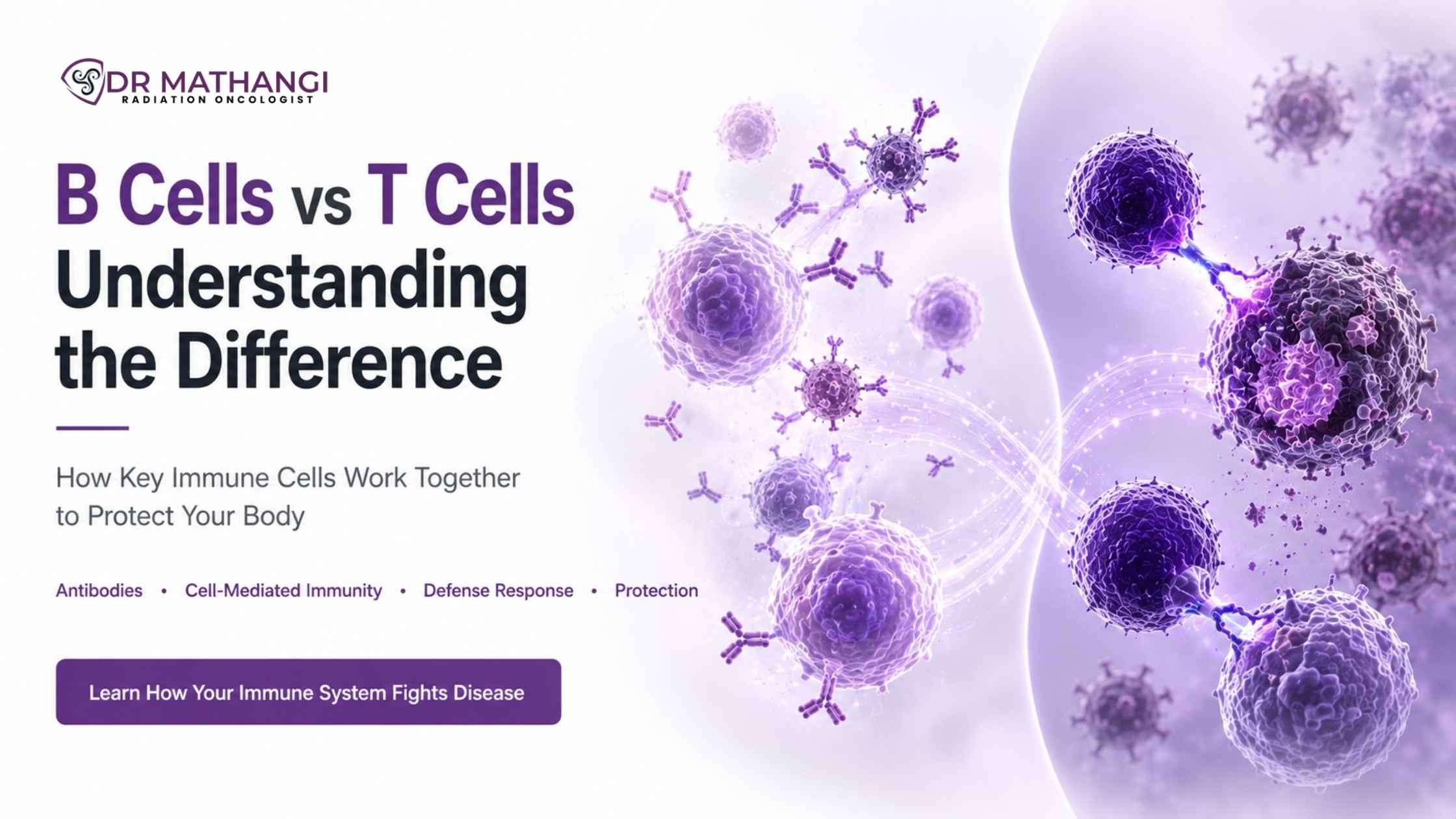 B Cells vs T Cells: Understanding the Difference