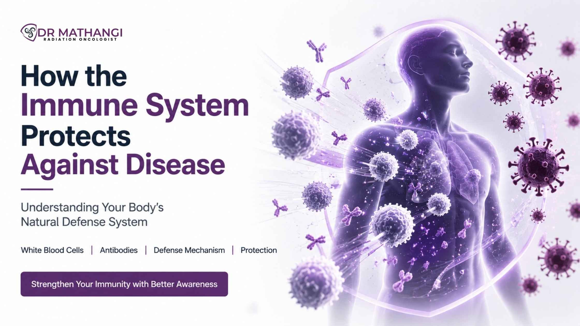 How the Immune System Protects Against Disease