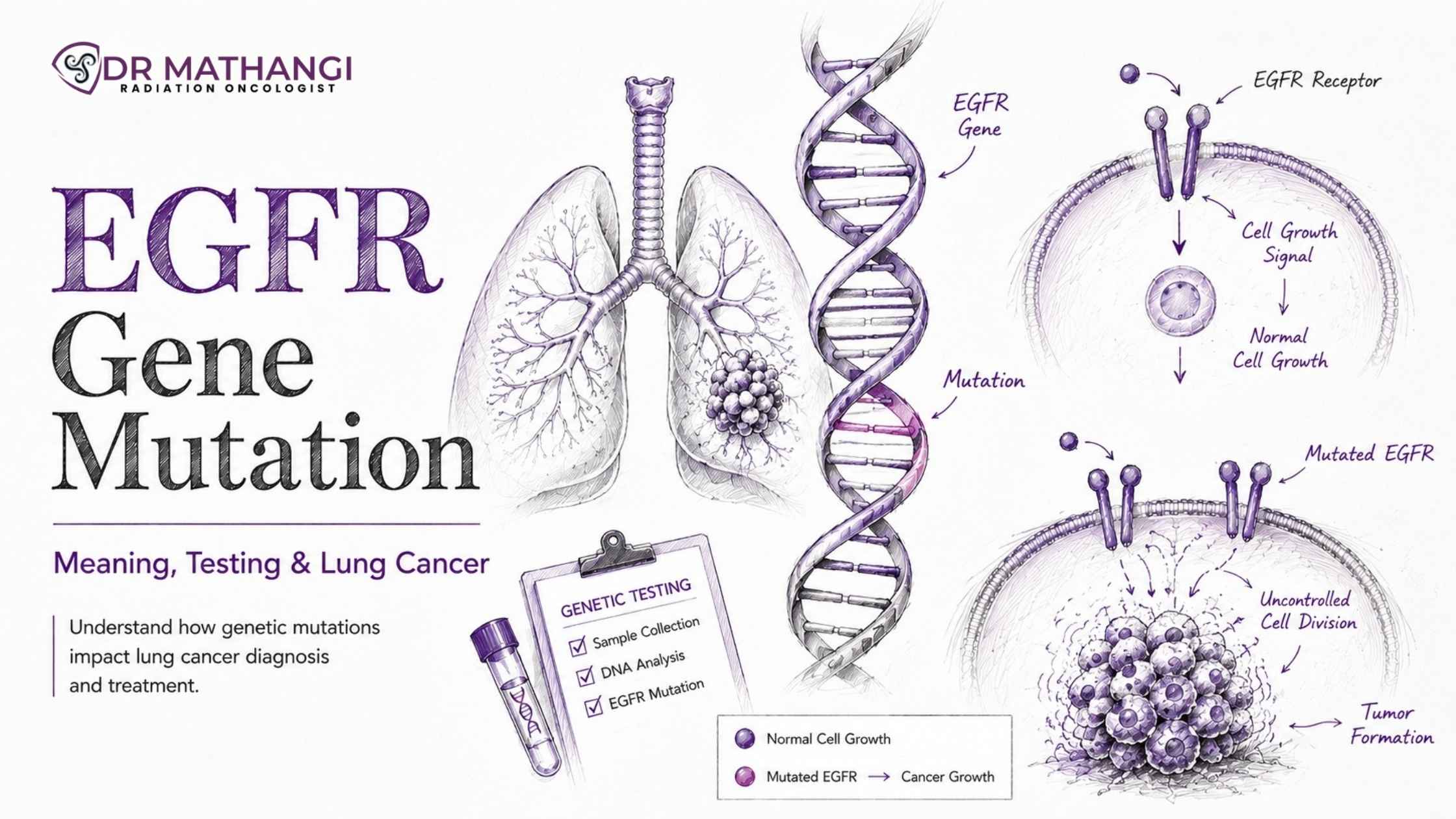 EGFR Gene Mutation: Meaning, Testing & Lung Cancer